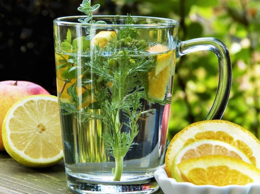 Phytotherapie, um das Immunsystem zu stärken